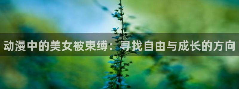 动漫里番番号