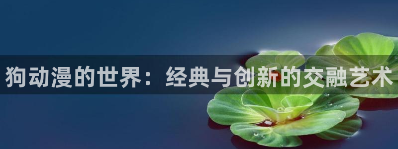 里番动漫伦理：狗动漫的世界：经典与创新的交融艺术