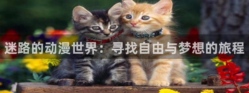 里番动漫网在线观看：迷路的动漫世界：寻找自由与梦想的旅程
