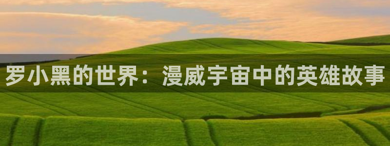 里番动漫看：罗小黑的世界：漫威宇宙中的英雄故事