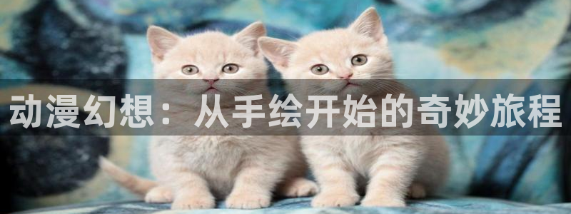 里番动漫在线观看免费完整视频：动漫幻想：从手绘开始的奇妙旅程