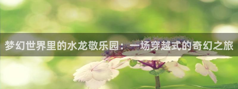 里番漫画网：梦幻世界里的水龙敬乐园：一场穿越式的奇幻之旅