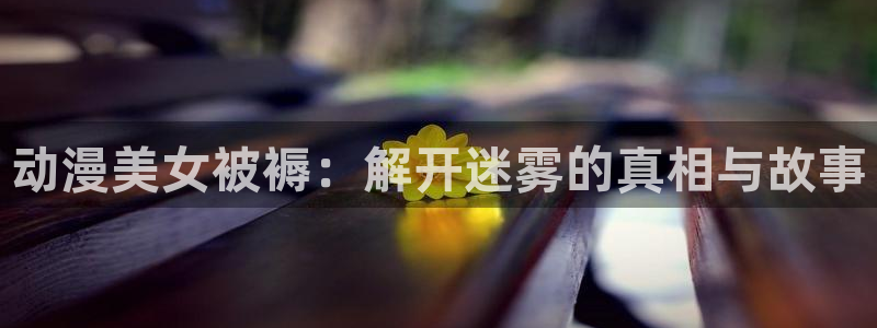2025年里番动漫：动漫美女被褥：解开迷雾的真相与故事