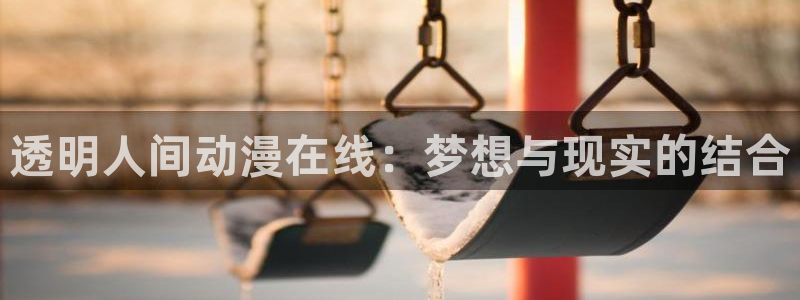 本子里番库漫画：透明人间动漫在线：梦想与现实的结合
