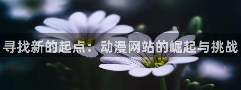 里番成人动漫在线观看
