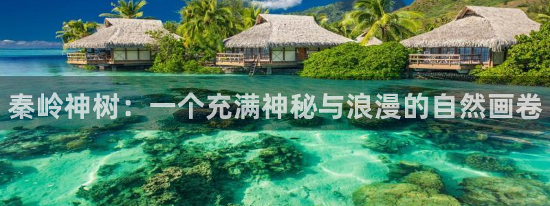 最新日本动漫里番