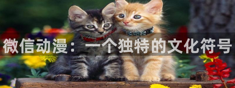 里番动漫社