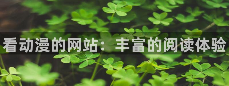 里番动漫网站在线