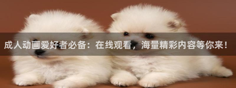里番肉动漫