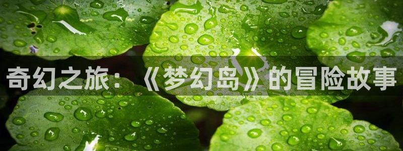 扶她里番动漫