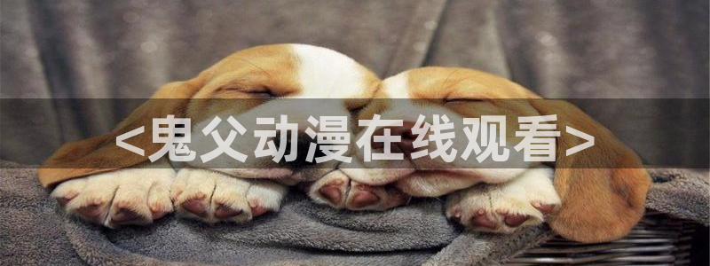 《里番动漫