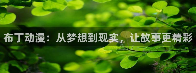 ova里番动画：布丁动漫：从梦想到现实，让故事更精彩