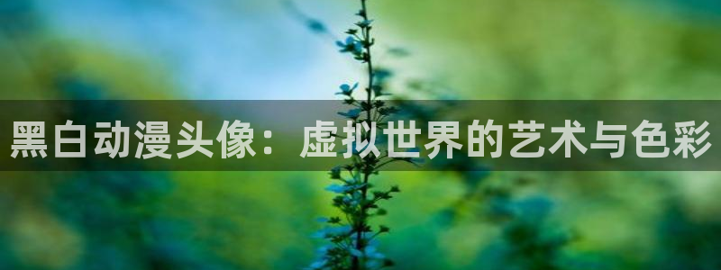 里番动漫在线观看免费完整视频：黑白动漫头像：虚拟世界的艺术与色彩